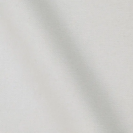 Duck Canvas by James Thompson in White