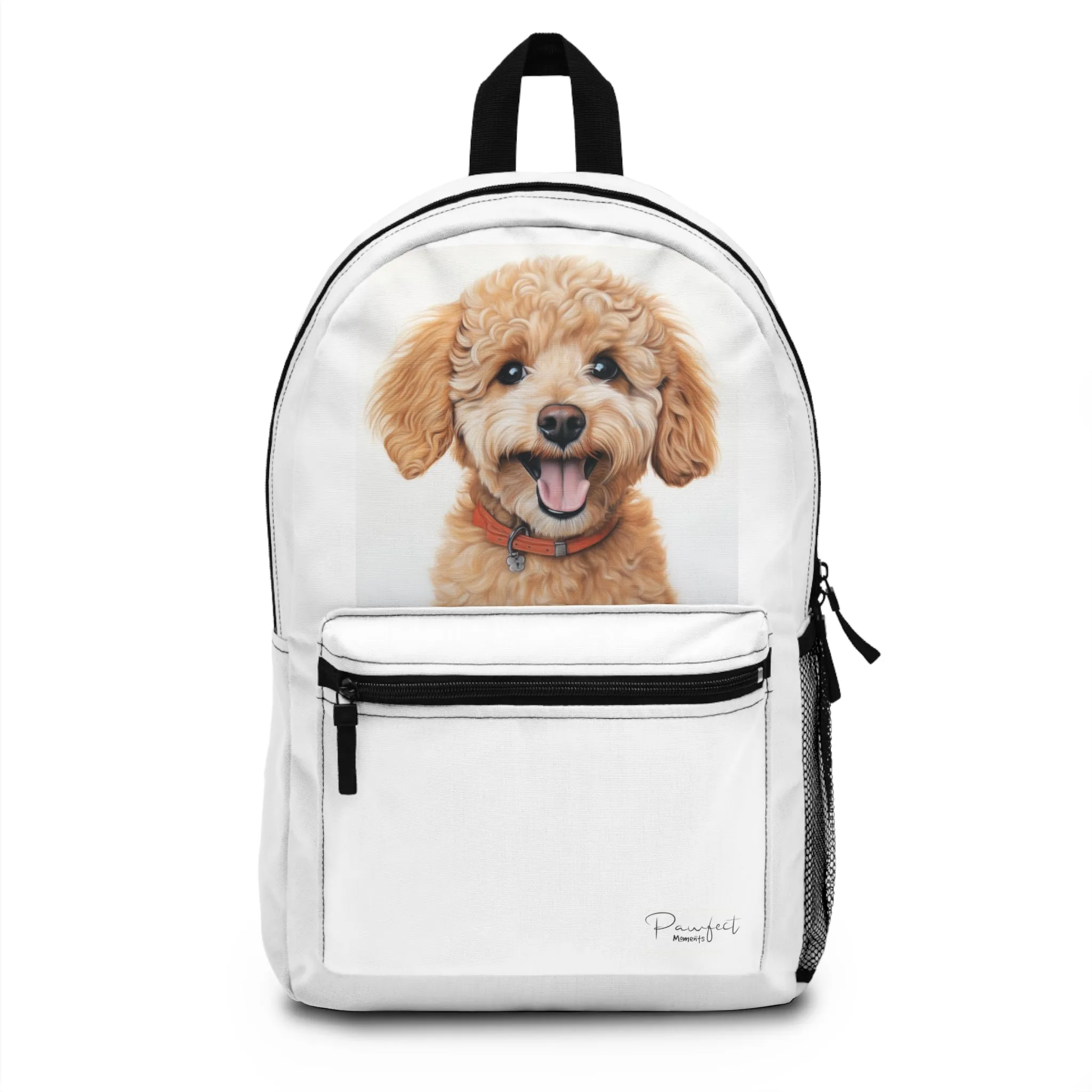 Waterproof Backpack