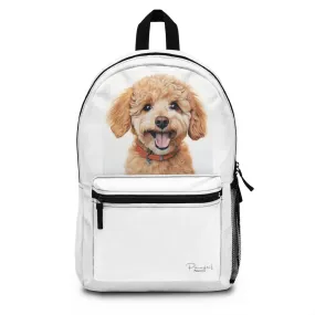 Waterproof Backpack